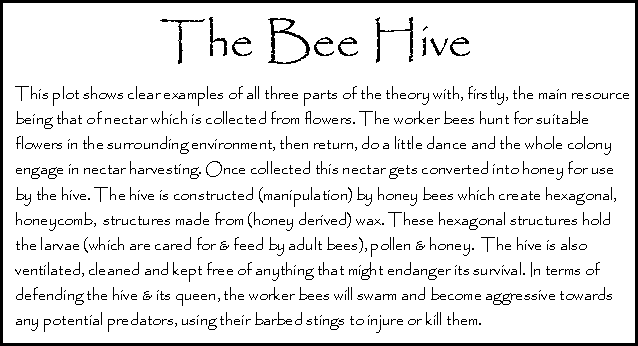 The Bee Hive